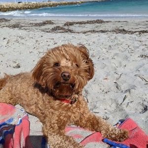 Meet your Posher, Lisa